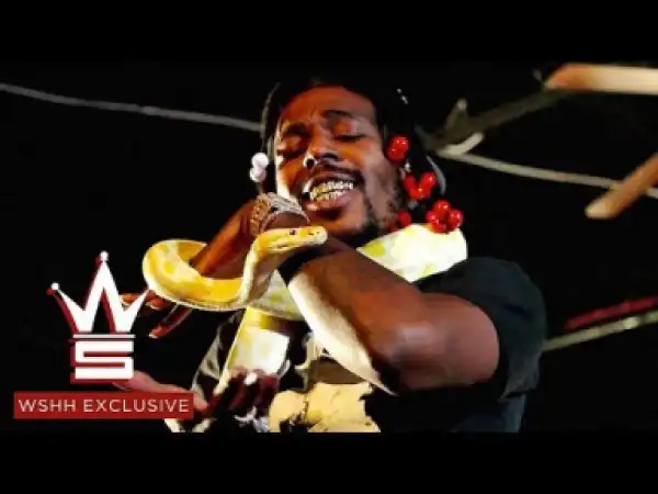 Sauce Walka – Snake